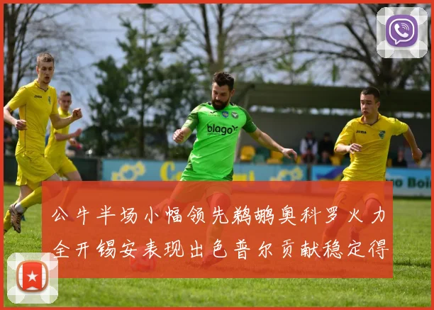 公牛半场小幅领先鹈鹕奥科罗火力全开锡安表现出色普尔贡献稳定得分