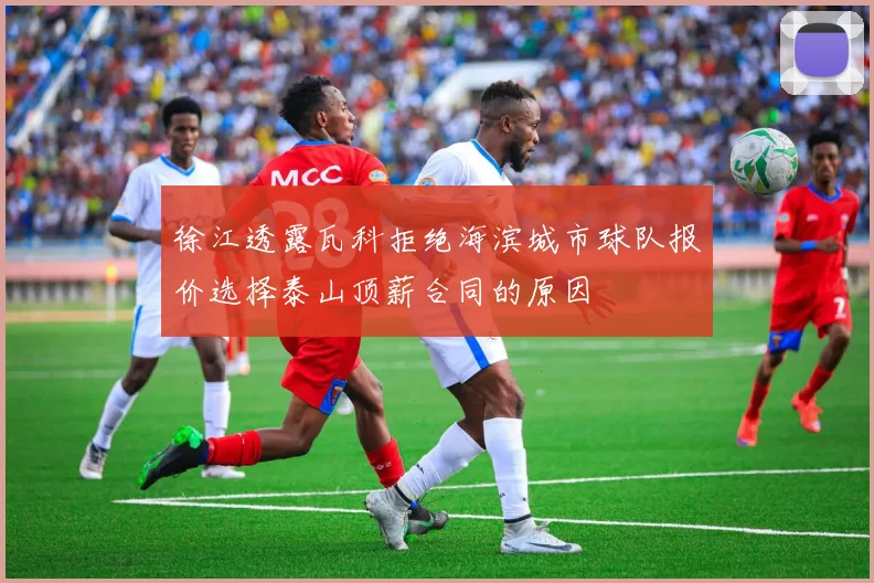 徐江透露瓦科拒绝海滨城市球队报价选择泰山顶薪合同的原因