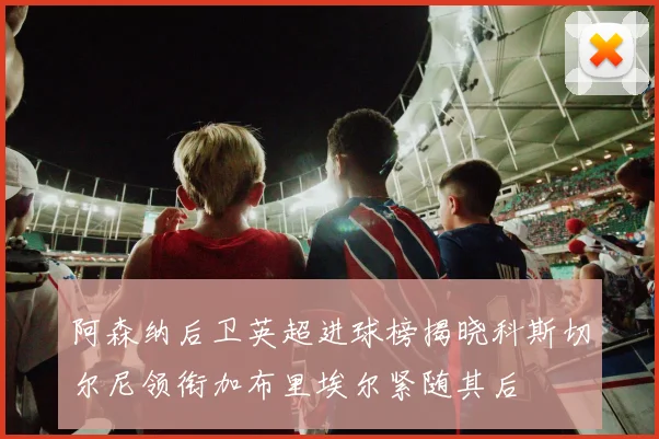 阿森纳后卫英超进球榜揭晓科斯切尔尼领衔加布里埃尔紧随其后