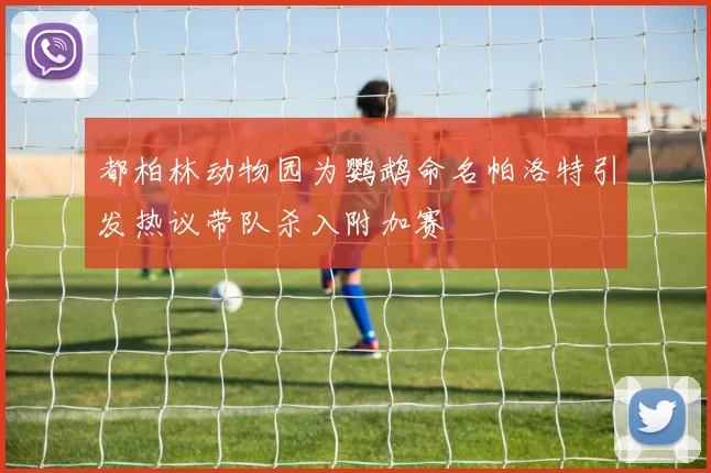 都柏林动物园为鹦鹉命名帕洛特引发热议带队杀入附加赛