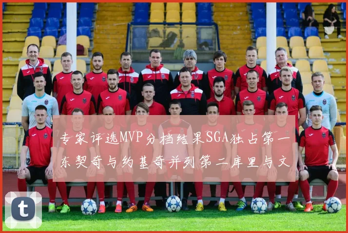 专家评选MVP分档结果SGA独占第一东契奇与约基奇并列第二库里与文班位列第四
