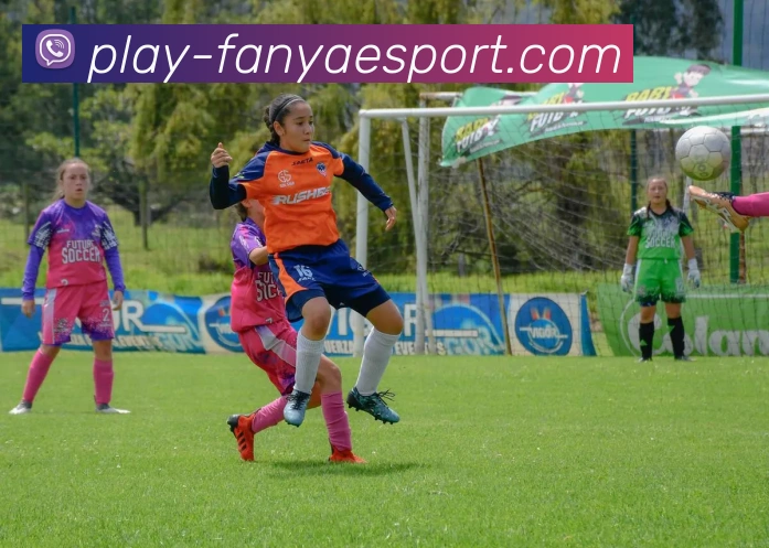 泛亚电竞平台生态图