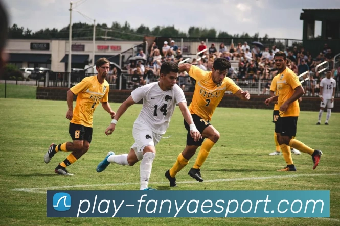 数据防护可视化