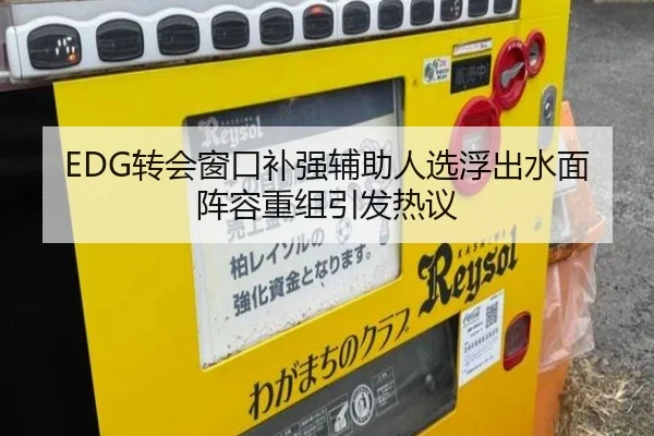 EDG转会窗口补强辅助人选浮出水面阵容重组引发热议
